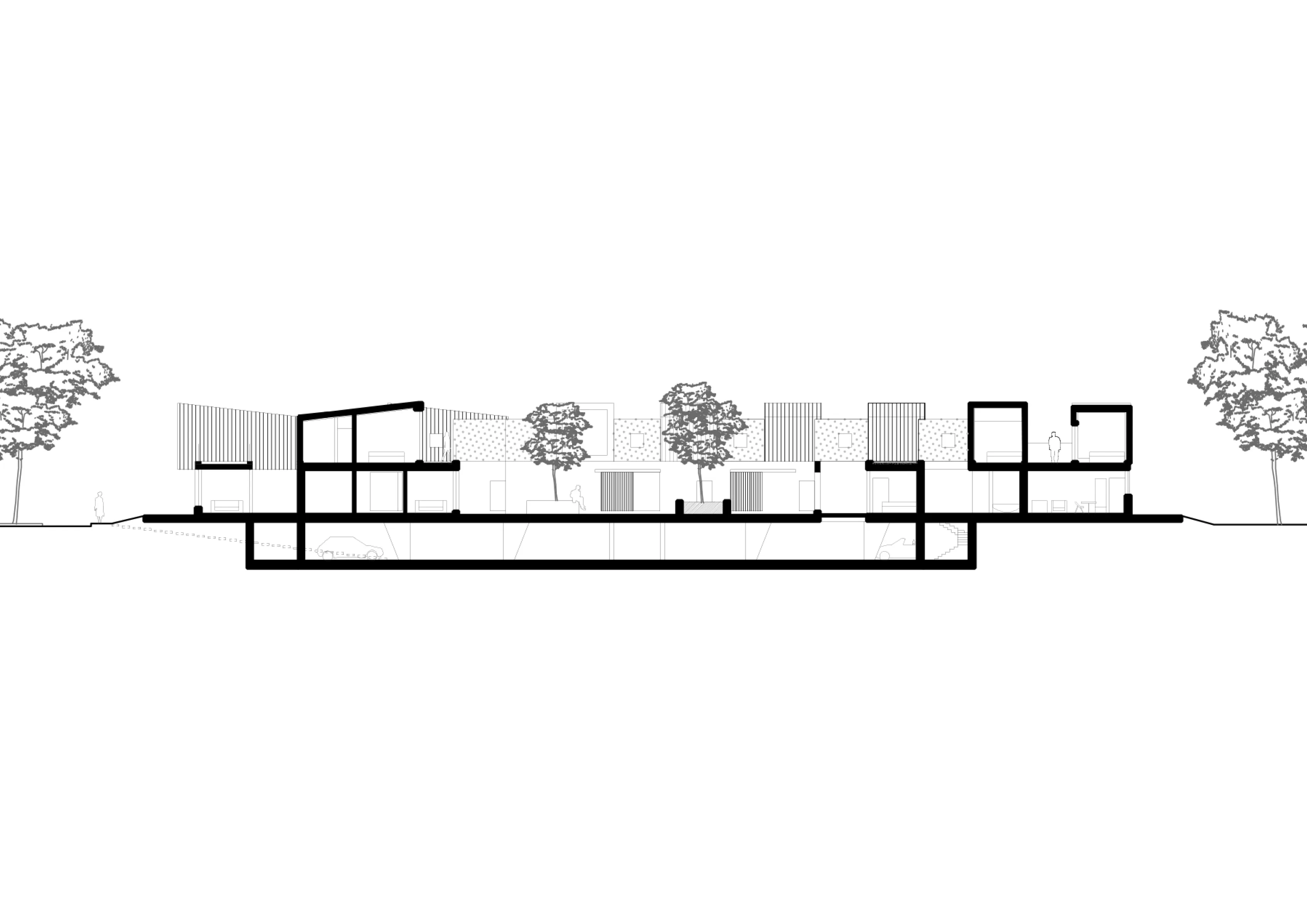 03-COUPE_0