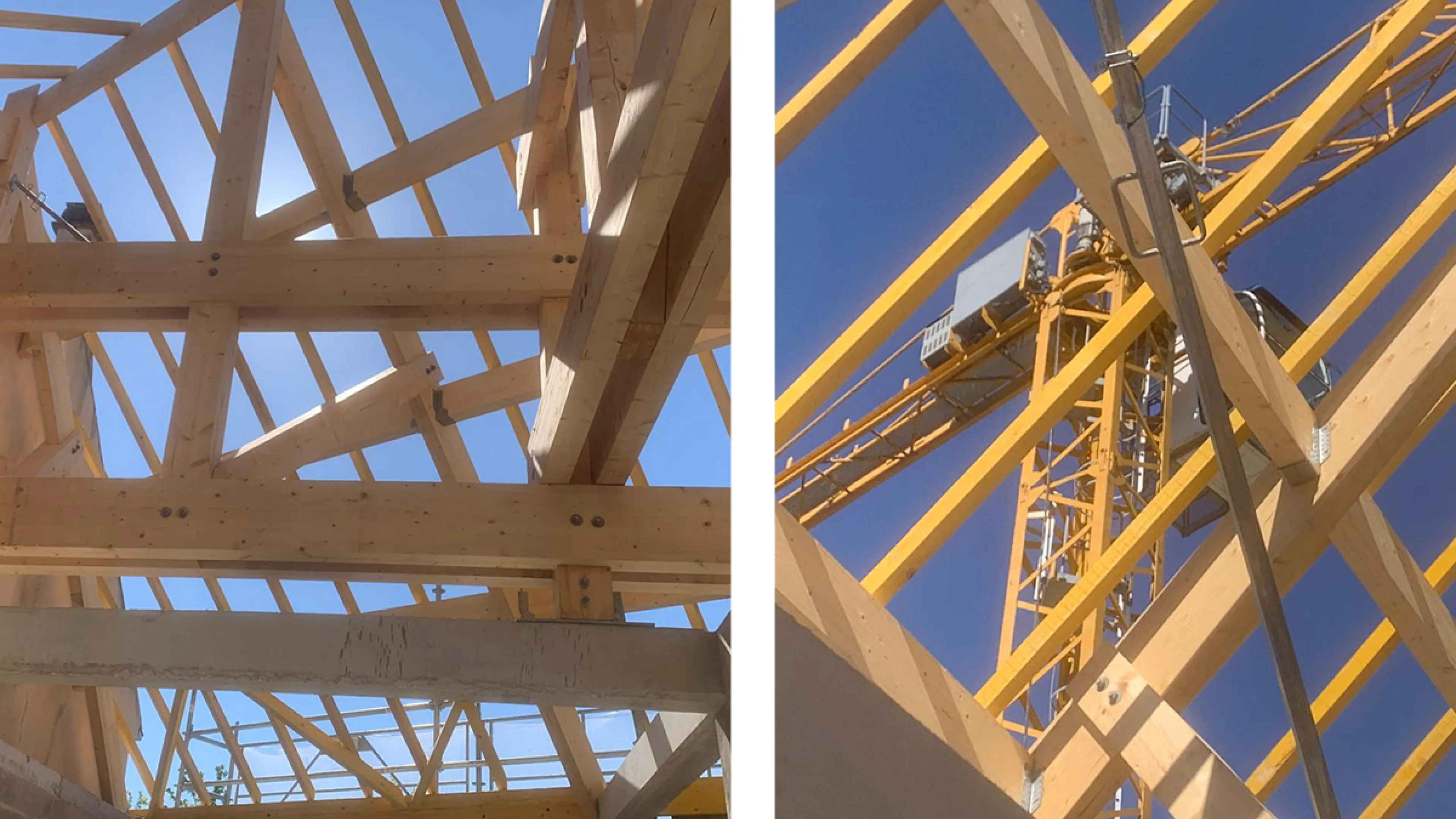 image de la structure en bois de la ferme pendant la construction