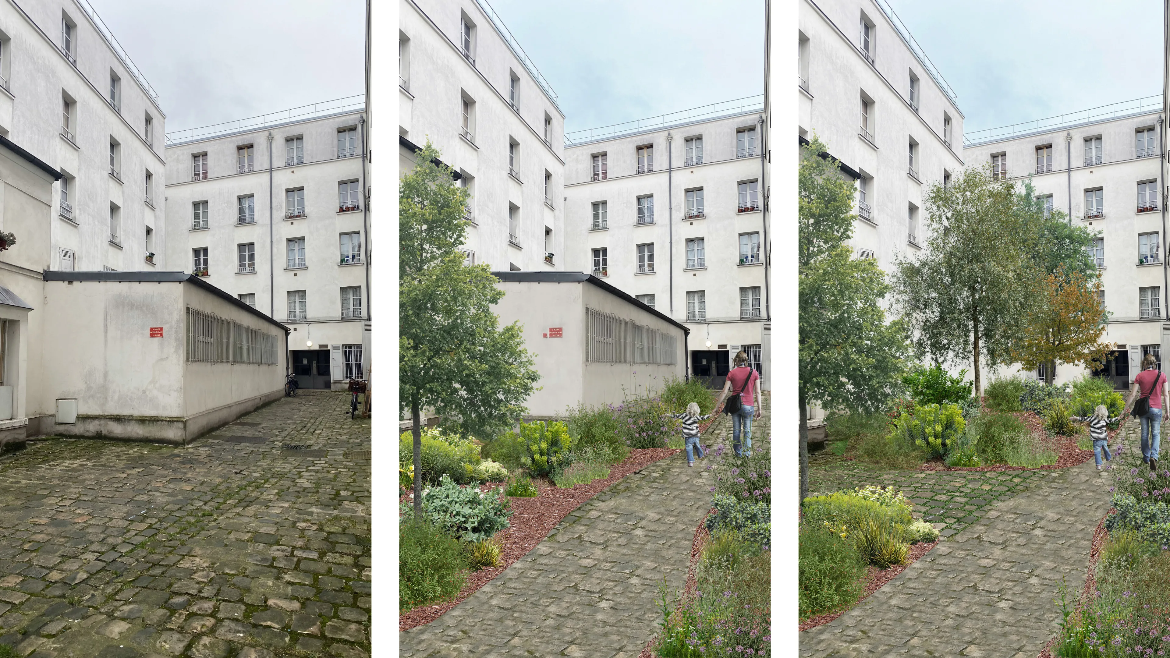 propositions pour la cour intérieure de l'immeuble